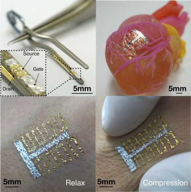 Figure 3. Demonstration of the transferrable property of device by transferring it to an aneurysm clip, an artificial heart as well as human hand. Scale bar is 5 mm and 500 μm in enlarged view.